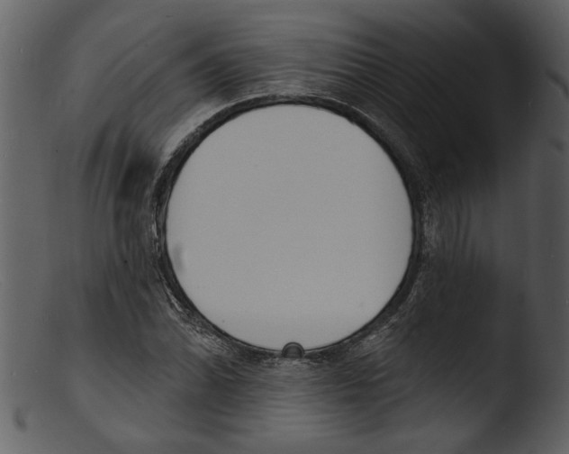 X0000103301070200809261308