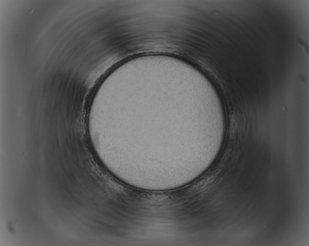 X0000103301071200809261308