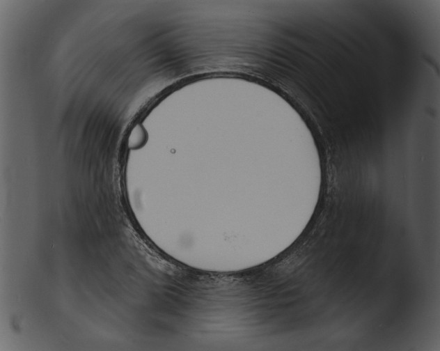 X0000103301072200809261308