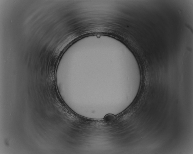X0000103301073200809261308