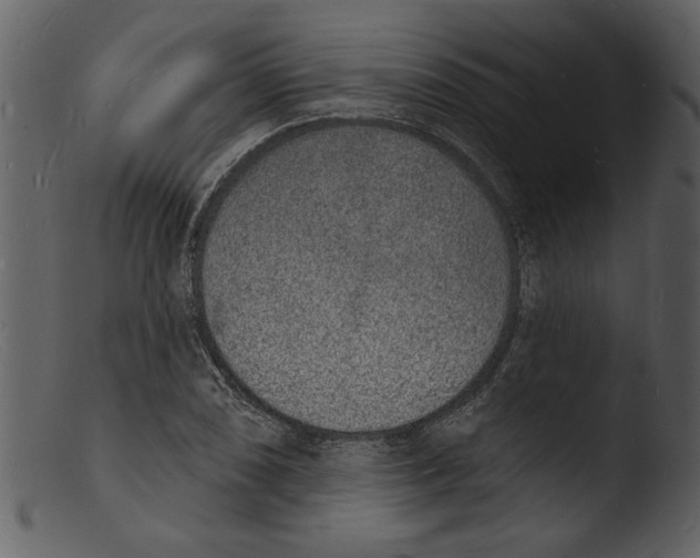X0000103301074200809261308