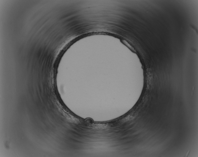X0000103301076200809261308