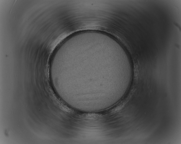 X0000103301077200809261308