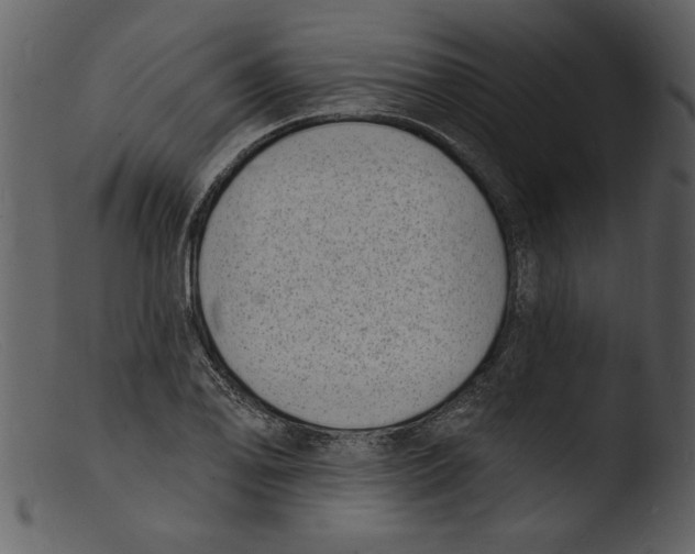 X0000103301078200809261308