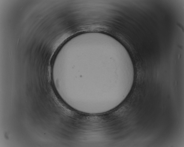 X0000103301079200809261308