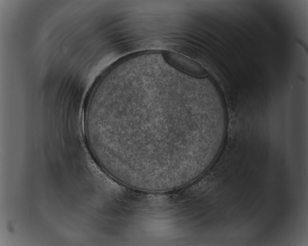 X0000103301080200809261308