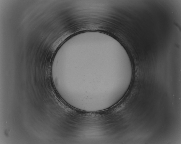 X0000103301081200809261308