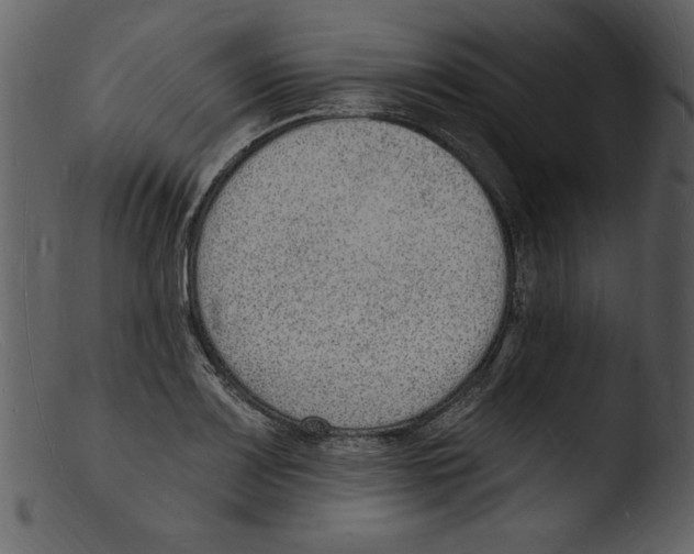 X0000103301083200809261308