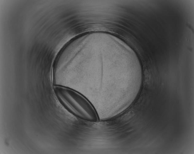X0000103301084200809261308