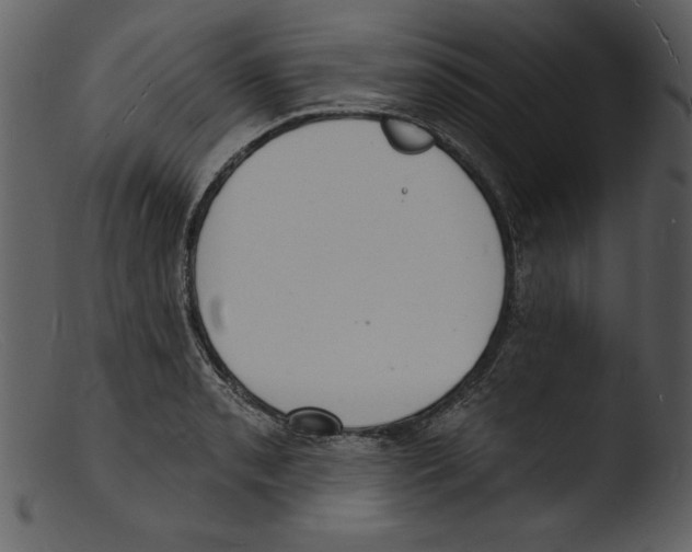 X0000103301085200809261308