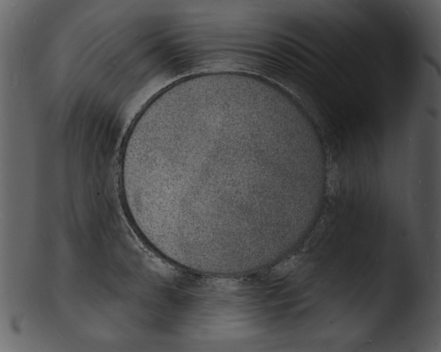 X0000103301086200809261308