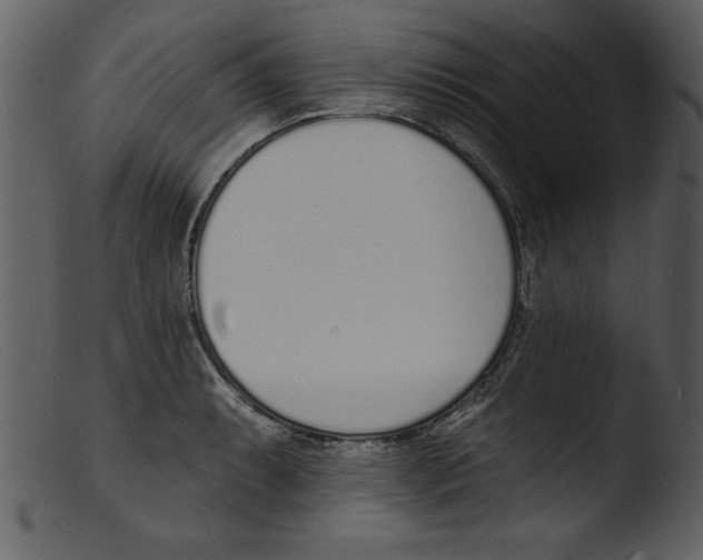 X0000103301087200809261308