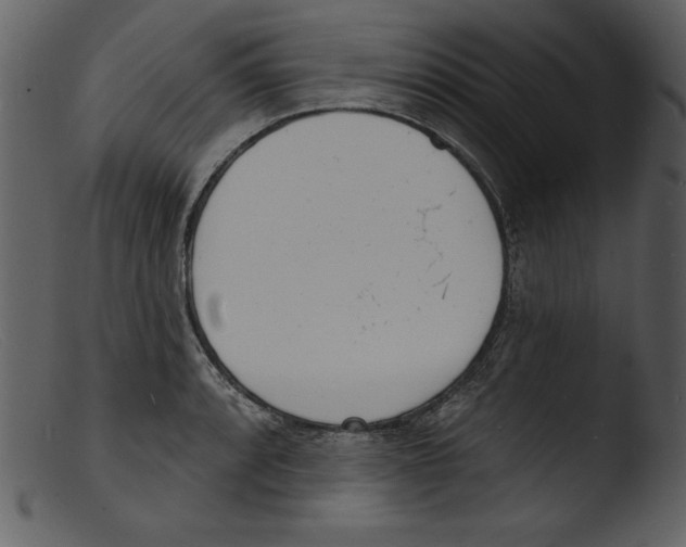 X0000103301088200809261308