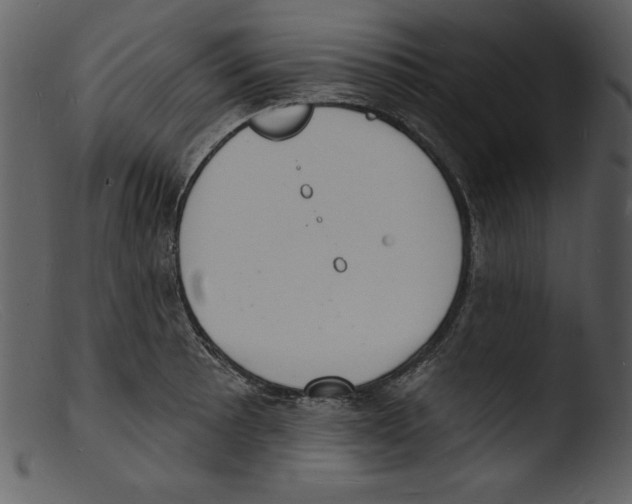 X0000103301089200809261308