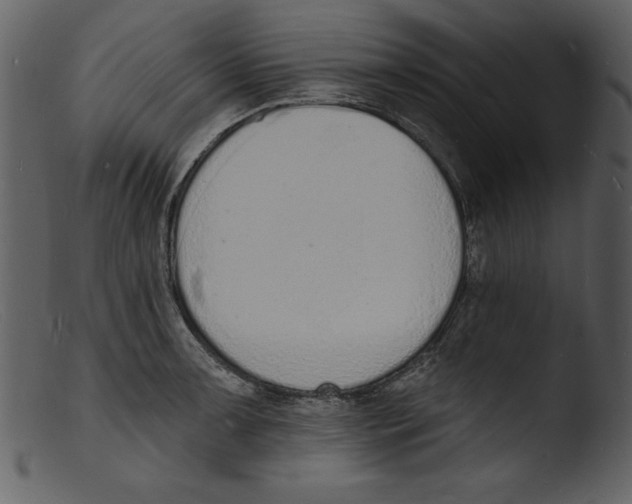 X0000103301091200809261308