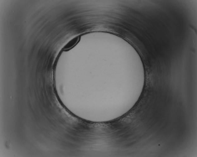 X0000103301092200809261308
