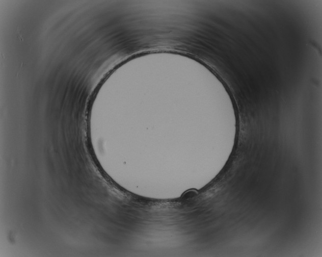 X0000103301093200809261308