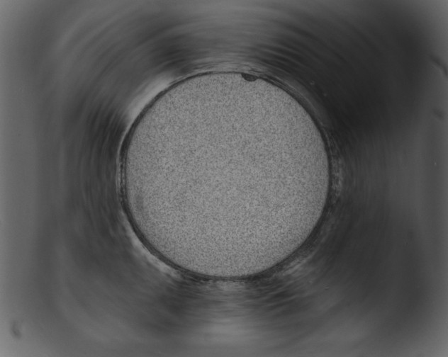 X0000103301095200809261308