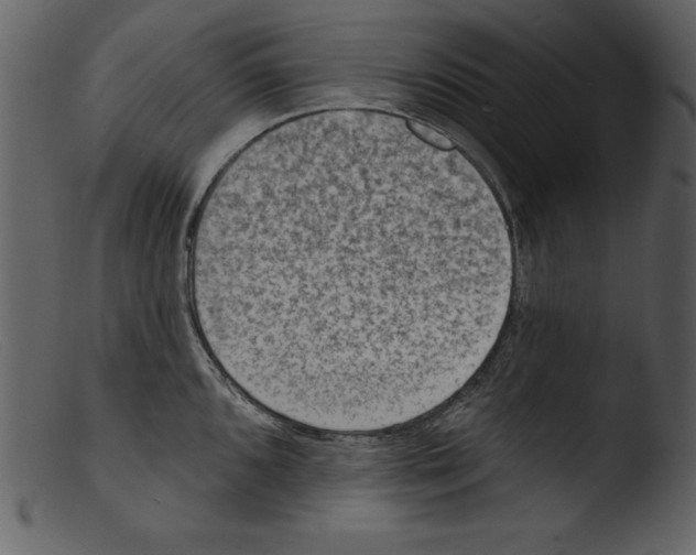 X0000103301096200809261308