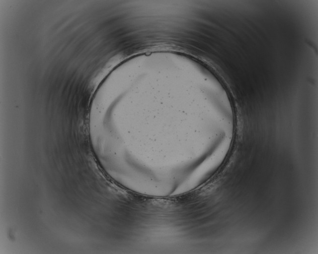 X0000103301097200809261307