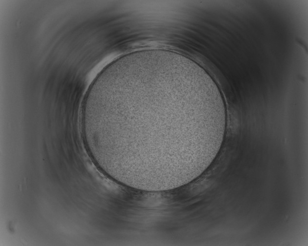 X0000103301098200809261307