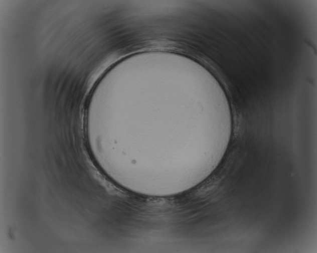 X0000103301099200809261307