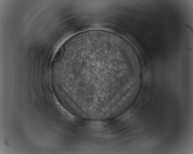 X0000103301100200809261307