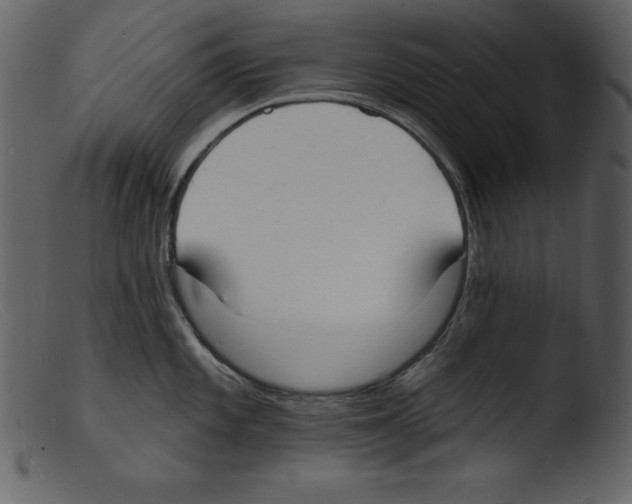 X0000103301101200809261307