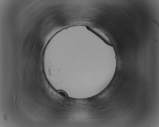 X0000103301102200809261307