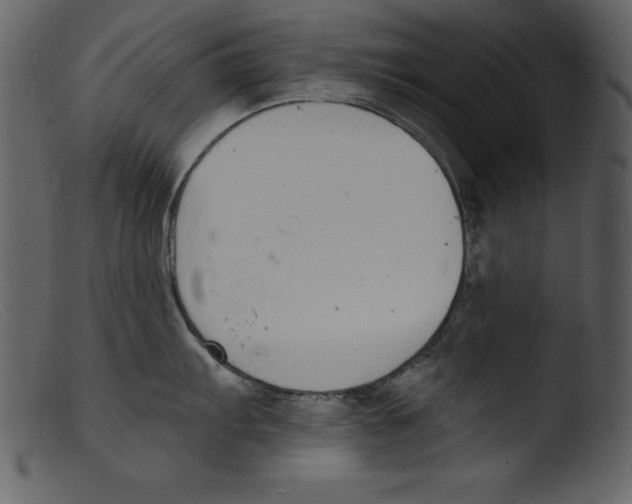 X0000103301103200809261307