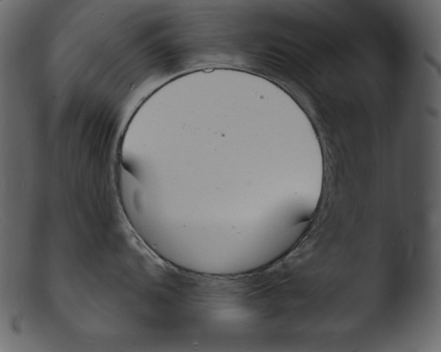 X0000103301104200809261307