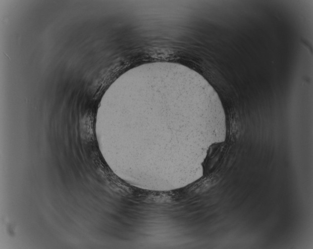 X0000103301106200809261306
