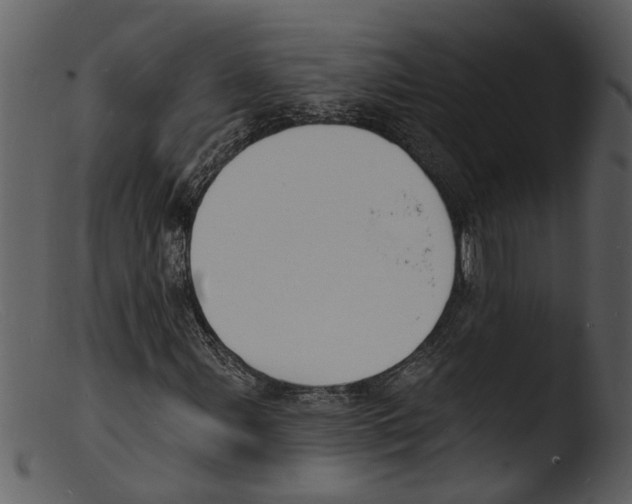 X0000103301107200809261306