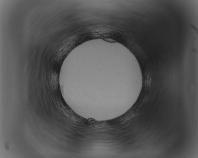 X0000103301108200809261306