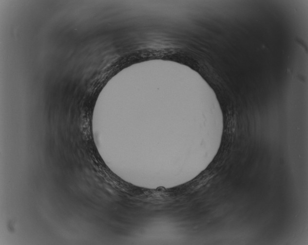 X0000103301109200809261306