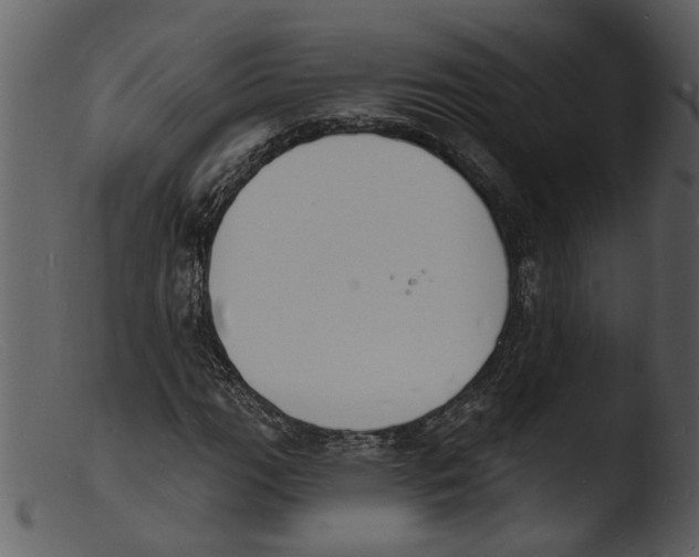 X0000103301111200809261306