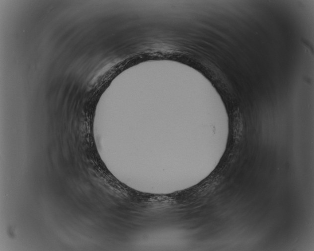 X0000103301112200809261306