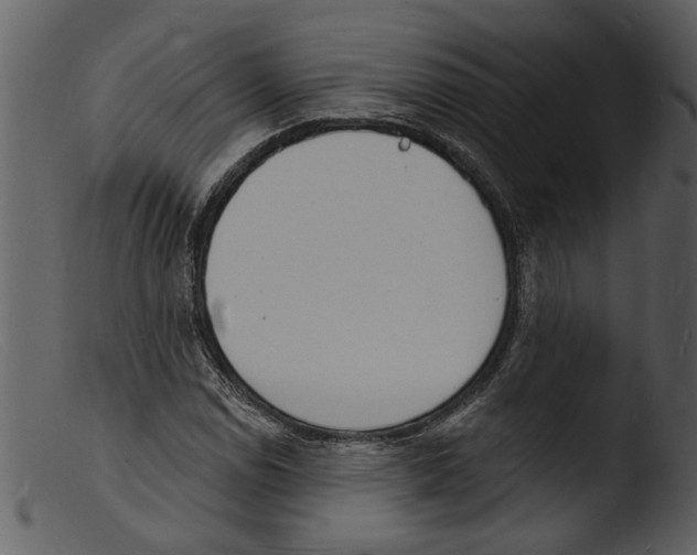 X0000103301114200809261307