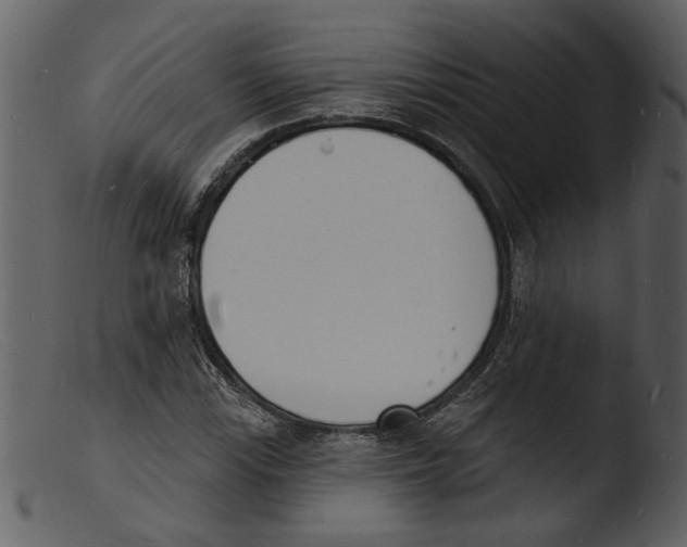 X0000103301115200809261307