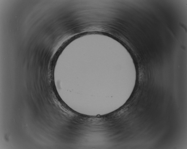 X0000103301116200809261307