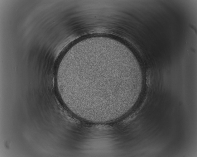 X0000103301117200809261307