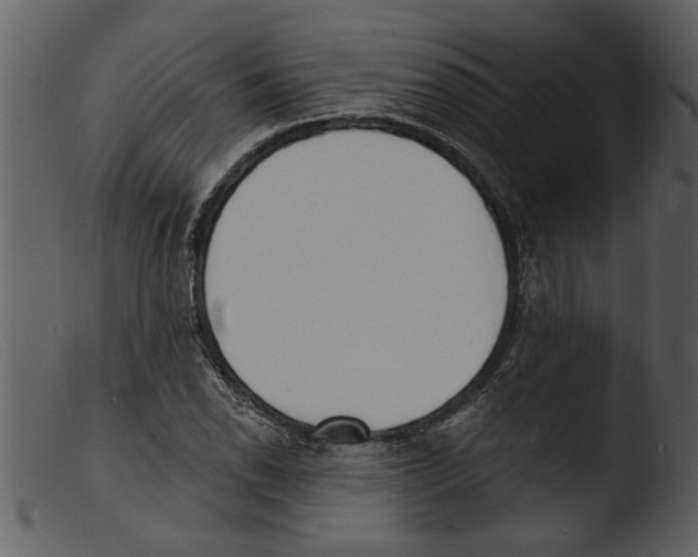 X0000103301118200809261307