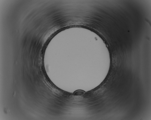 X0000103301119200809261307