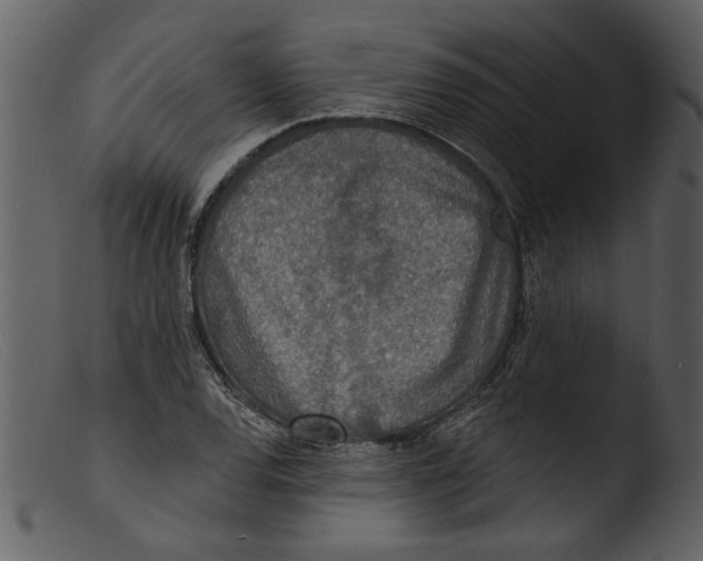 X0000103301120200809261307