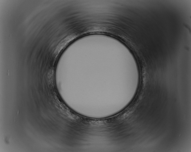 X0000103301121200809261307