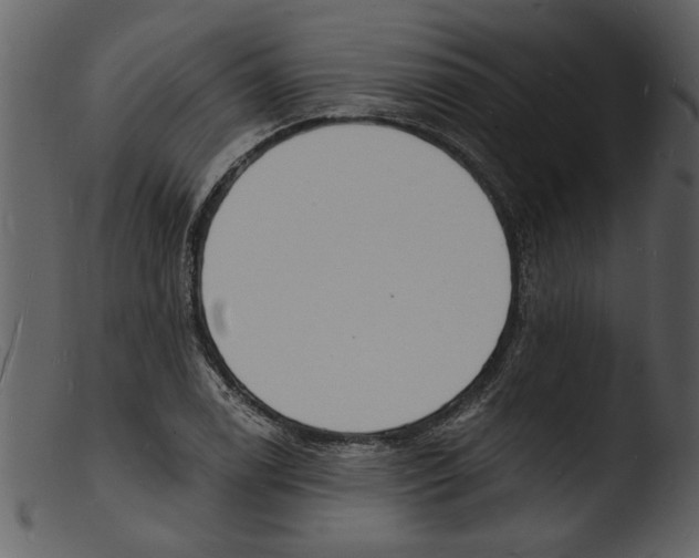 X0000103301122200809261307