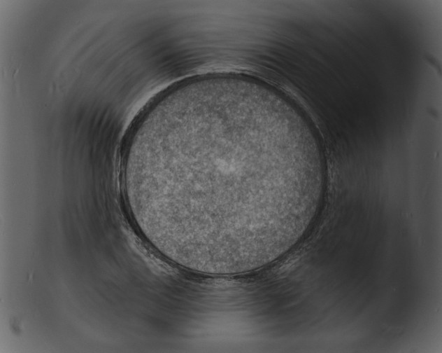 X0000103301124200809261307