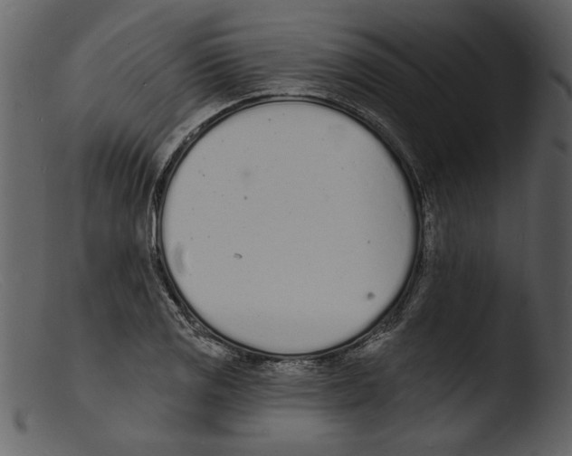 X0000103301125200809261307