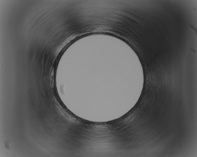 X0000103301126200809261307