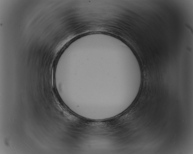 X0000103301127200809261307